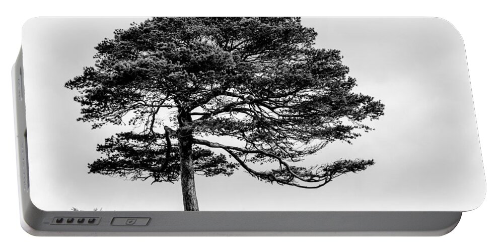 Tree Portable Battery Charger featuring the photograph Lone Tree by Helen Jackson