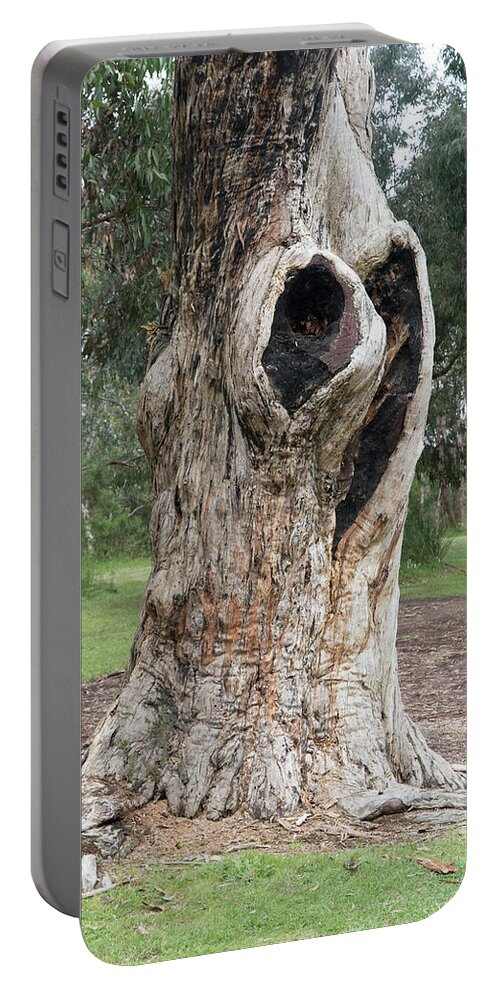 Landscape Portable Battery Charger featuring the photograph Lone Tree by Masami IIDA