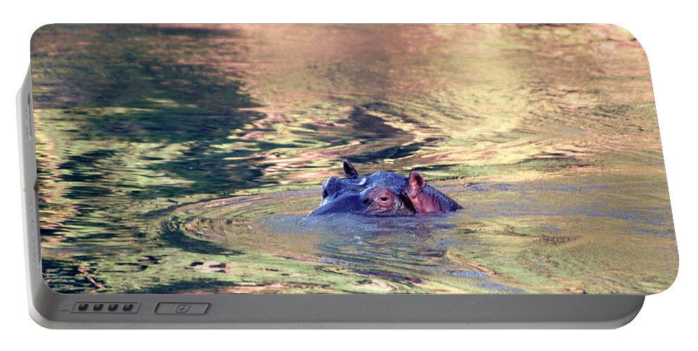 Africa Portable Battery Charger featuring the photograph Lonely Hippo by Sebastian Musial