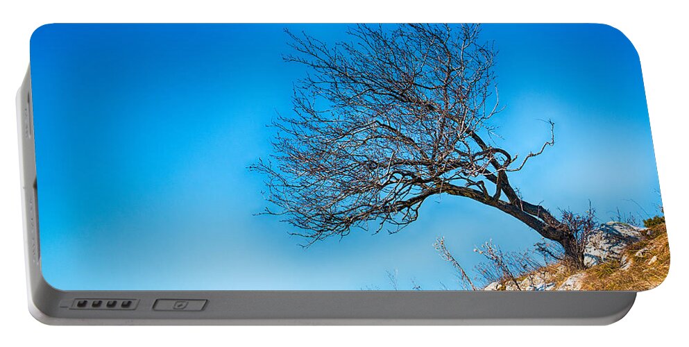 Bulgaria Portable Battery Charger featuring the photograph Lonely Tree Blue Sky by Jivko Nakev