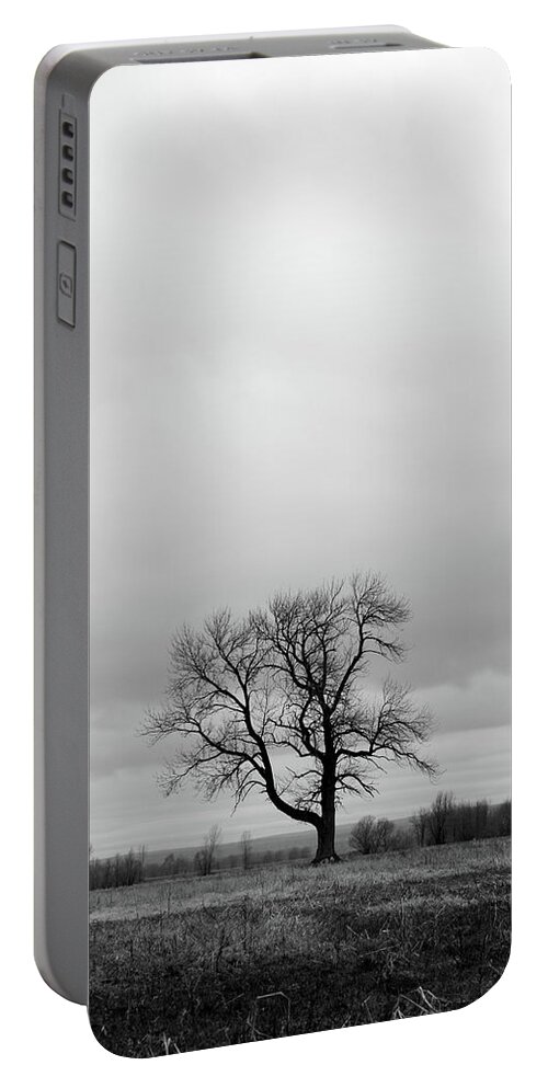 Tree Portable Battery Charger featuring the photograph Lonely tree in a spring field by GoodMood Art
