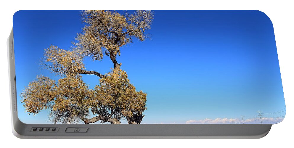 Tree Portable Battery Charger featuring the photograph Lonely Tree by Teresa Zieba
