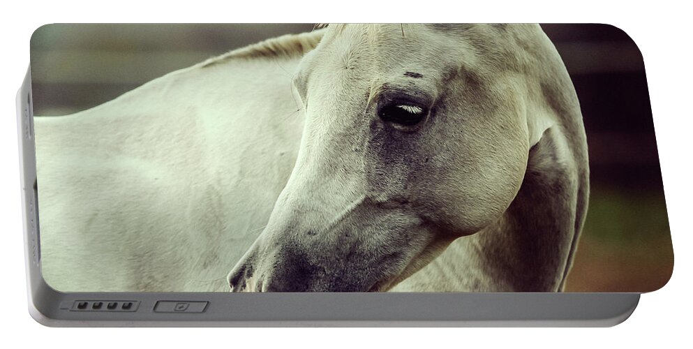 Horse Portable Battery Charger featuring the photograph White horse close up vintage colors portrait by Dimitar Hristov
