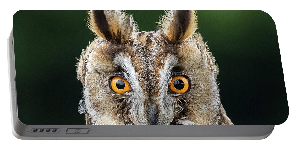 Long Eared Owl Portable Battery Charger featuring the photograph Long Eared Owl 1 by Nigel R Bell