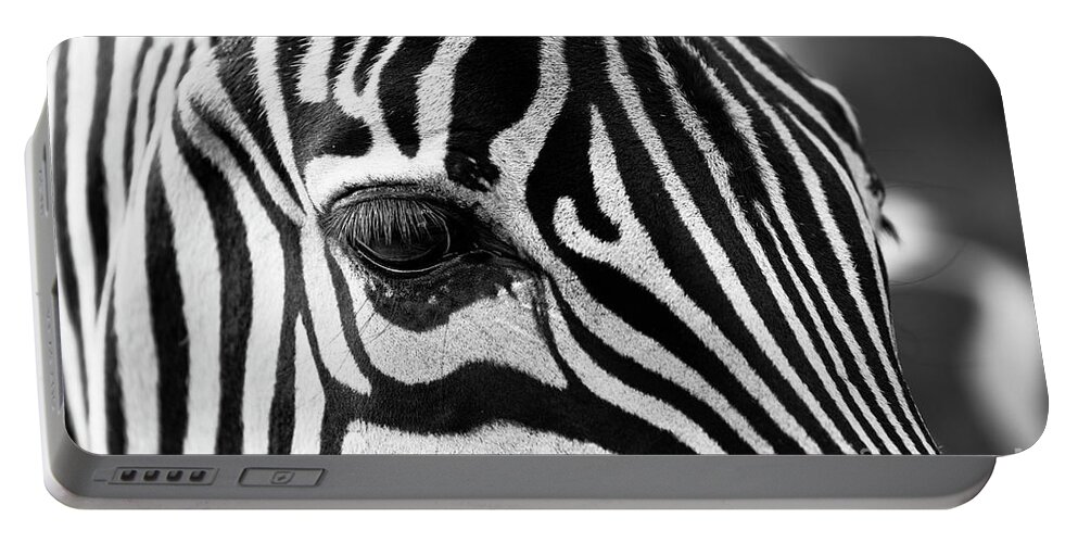 Zebra Portable Battery Charger featuring the photograph Long Eyelashes by Alice Terrill