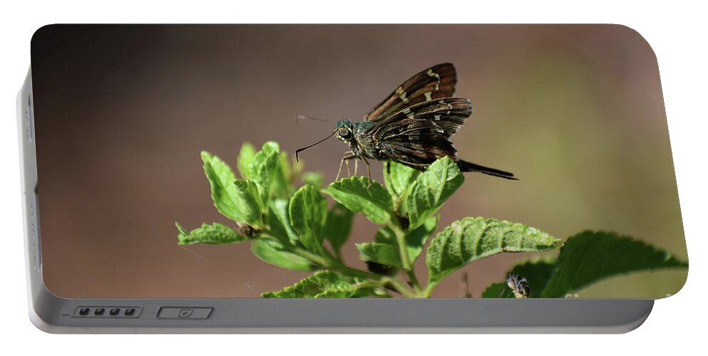 Animals Portable Battery Charger featuring the photograph Long Tailed Skipper by Skip Willits