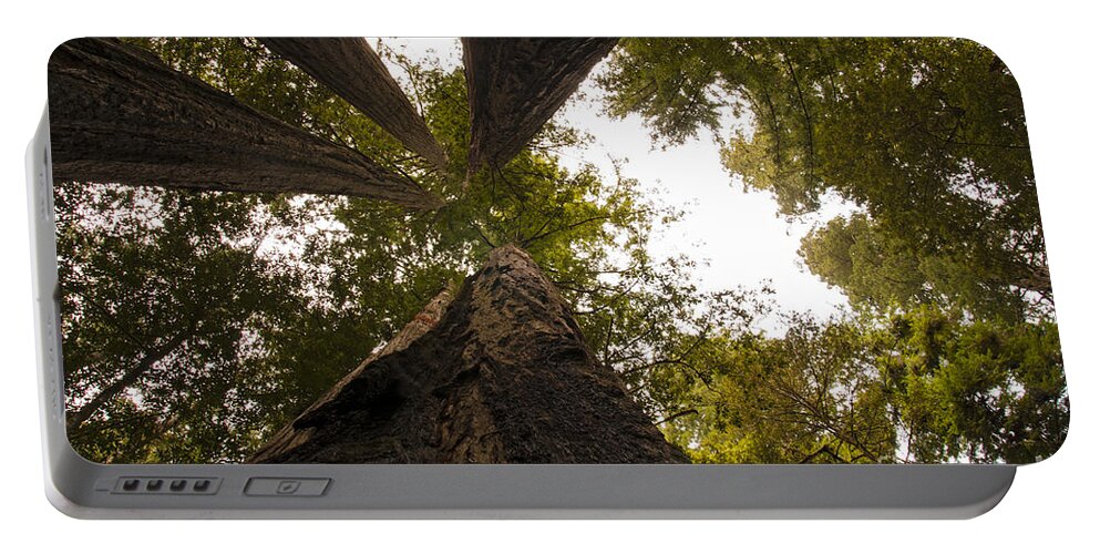 Redwoods Portable Battery Charger featuring the photograph Look Up Way Up by Vivian Christopher