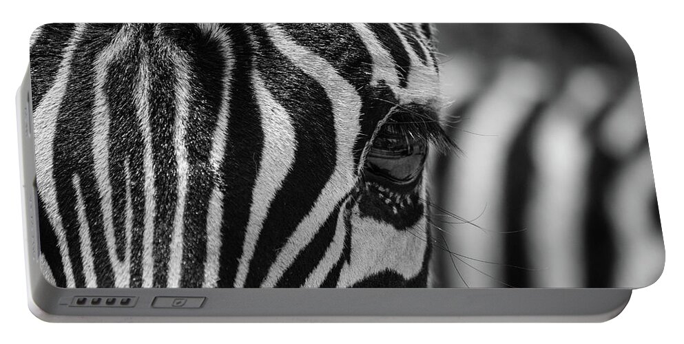 Animal Portable Battery Charger featuring the photograph Looking At Me - BW by Teresa Wilson