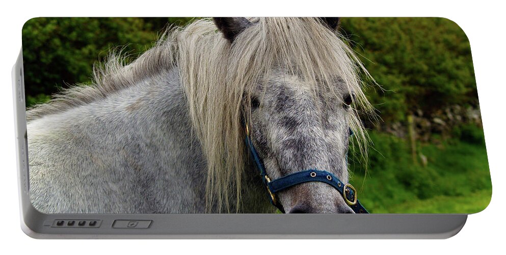 Horse Photography Portable Battery Charger featuring the photograph Looking for Handouts on the Dingle Peninsula by Patricia Griffin Brett