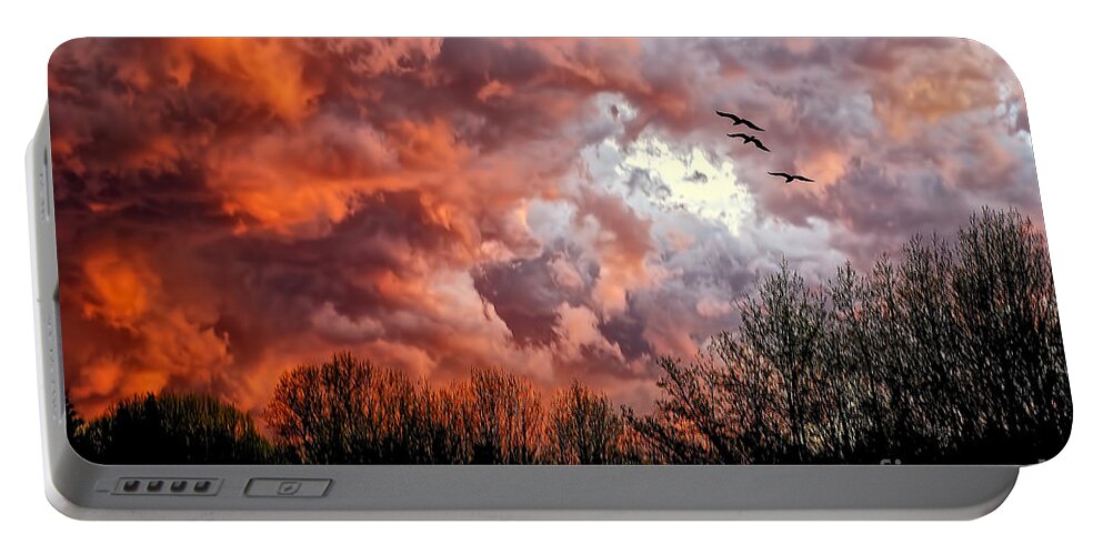 Sunset Portable Battery Charger featuring the photograph Looking For Trouble by Lois Bryan