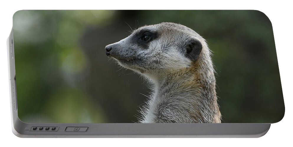 Meerkat Portable Battery Charger featuring the photograph Looking Left by Fraida Gutovich