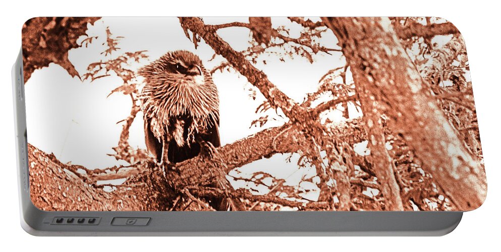 Nature Portable Battery Charger featuring the photograph Looking out by Patrick Kain