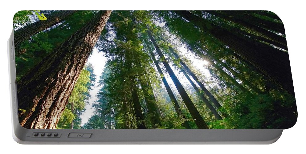 Looking Up Portable Battery Charger featuring the photograph Looking up by Lynn Hopwood
