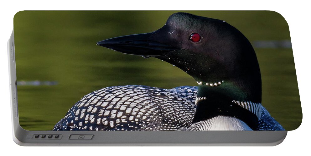 Bird Portable Battery Charger featuring the photograph Loon Close Up by Darryl Hendricks