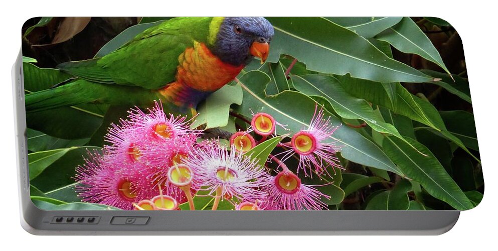 Lorikeet Portable Battery Charger featuring the photograph Lorikeet by Fran Woods