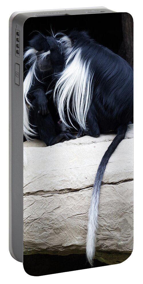 Colobus Angolensis Portable Battery Charger featuring the photograph Lost in Cuddling - Black and white colobus monkeys by Penny Lisowski