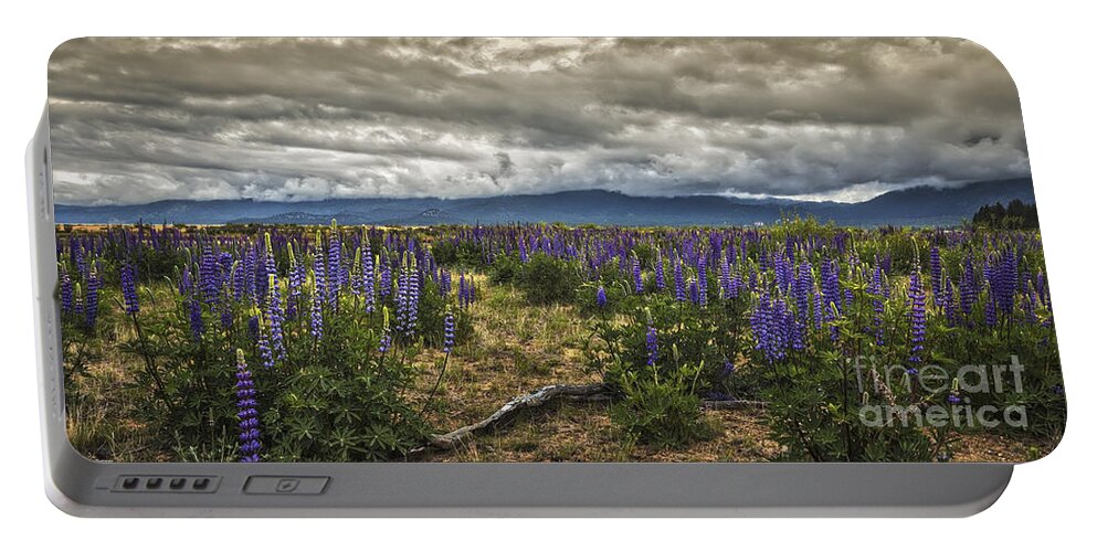 Lost In The Lupine Portable Battery Charger featuring the photograph Lost In The Lupine by Mitch Shindelbower