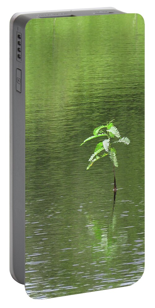 Plant Portable Battery Charger featuring the photograph Lost by Rosalie Scanlon
