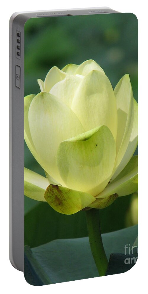 Lotus Portable Battery Charger featuring the photograph Lotus by Amanda Barcon