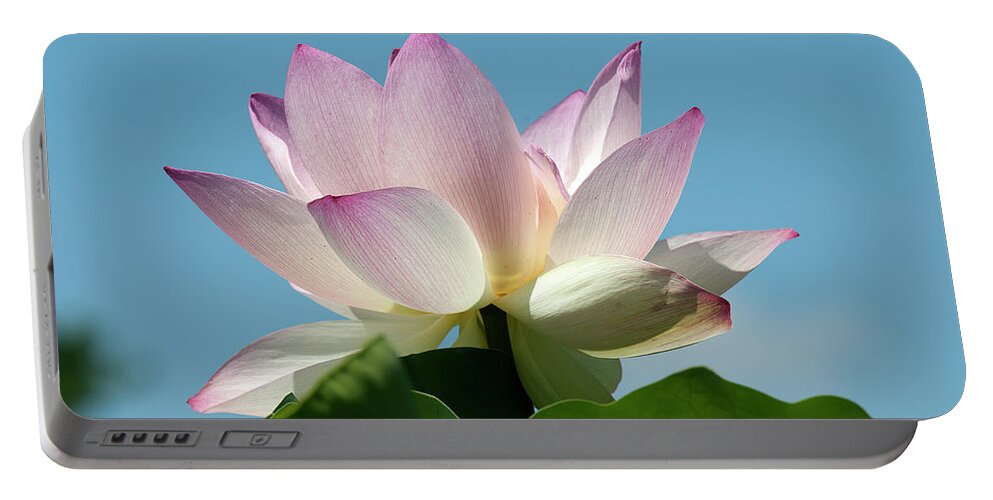 Lotus Portable Battery Charger featuring the photograph Lotus--Blue Sky i DL0104 by Gerry Gantt