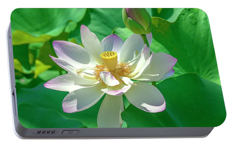 Lotus Portable Battery Charger featuring the photograph Lotus--Fading i DL0079 by Gerry Gantt