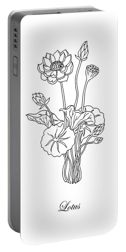 Lotus Portable Battery Charger featuring the drawing Lotus Flower Botanical Drawing Black And White by Irina Sztukowski