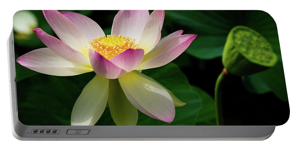 Bloom Portable Battery Charger featuring the photograph Lotus Lily in its Final Days by Dennis Dame