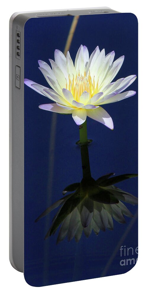 Lotus Portable Battery Charger featuring the photograph Lotus Reflection by Paula Guttilla