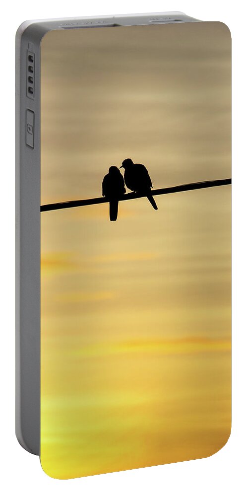 Bird Portable Battery Charger featuring the photograph Love Bird on a Wire by Angie Schutt