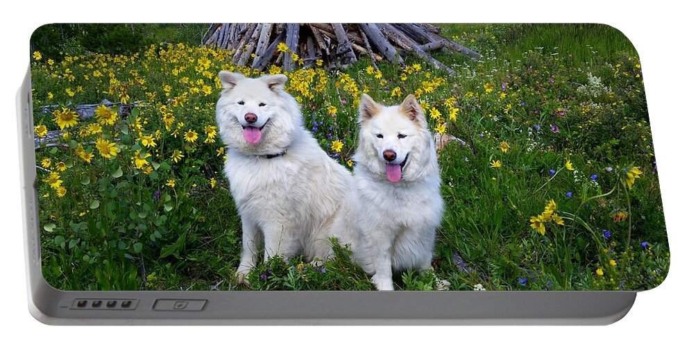Samoyed Portable Battery Charger featuring the photograph Love Is Friendship by Fiona Kennard