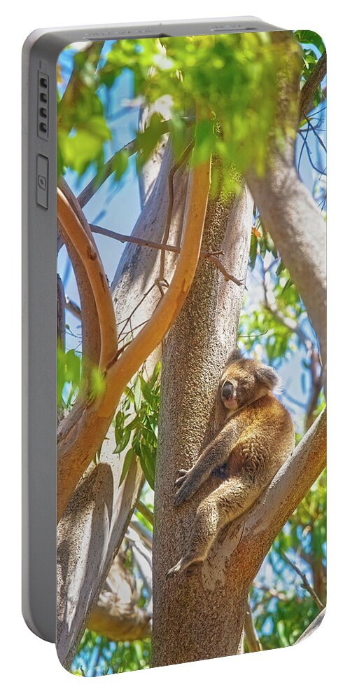 Mad About Wa Portable Battery Charger featuring the photograph Love my tree, Yanchep National Park by Dave Catley