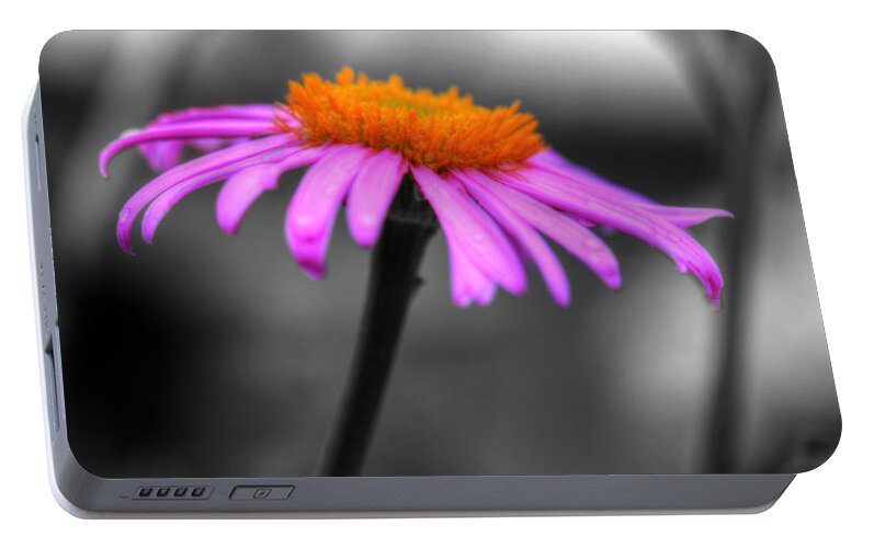 Coneflower Portable Battery Charger featuring the photograph Lovely Purple and Orange Coneflower Echinacea by Shelley Neff
