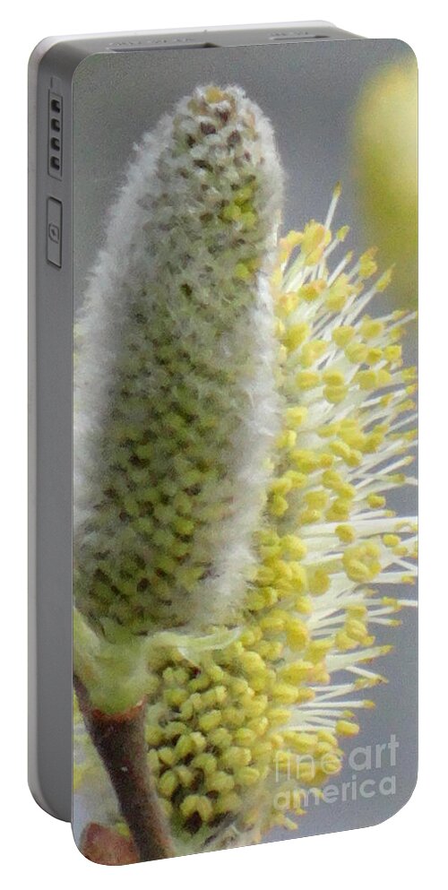 Spring Portable Battery Charger featuring the photograph Lovely spring by Karin Ravasio