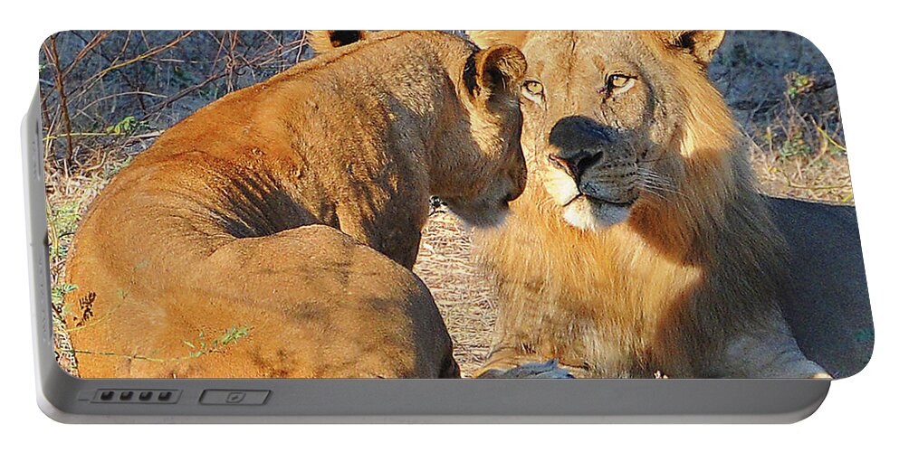 Loving Portable Battery Charger featuring the photograph Loving Lions by Ted Keller