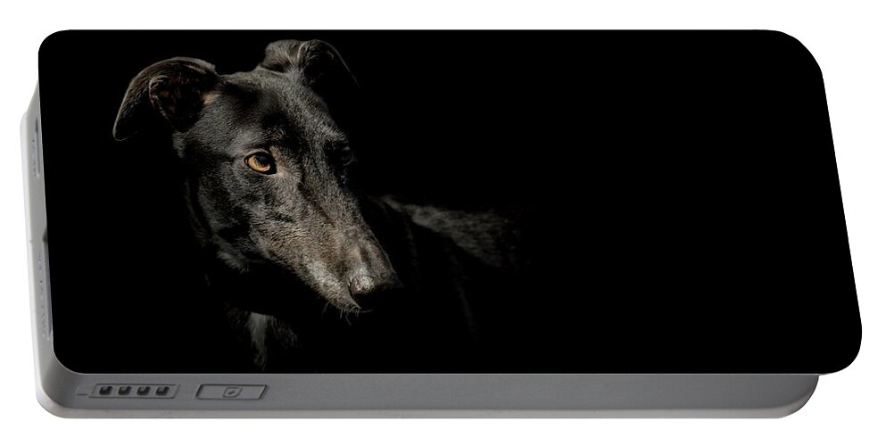Dog Portable Battery Charger featuring the photograph Loyalty by Paul Neville