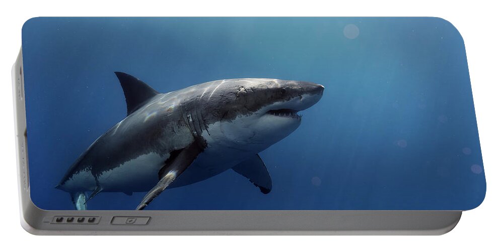 Great White Portable Battery Charger featuring the photograph Lucy posing at Isla Guadalupe by Shane Linke
