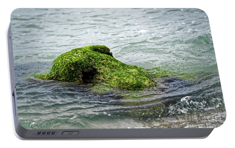 Seal Portable Battery Charger featuring the photograph Lumot Moss Seal by Paul Mashburn