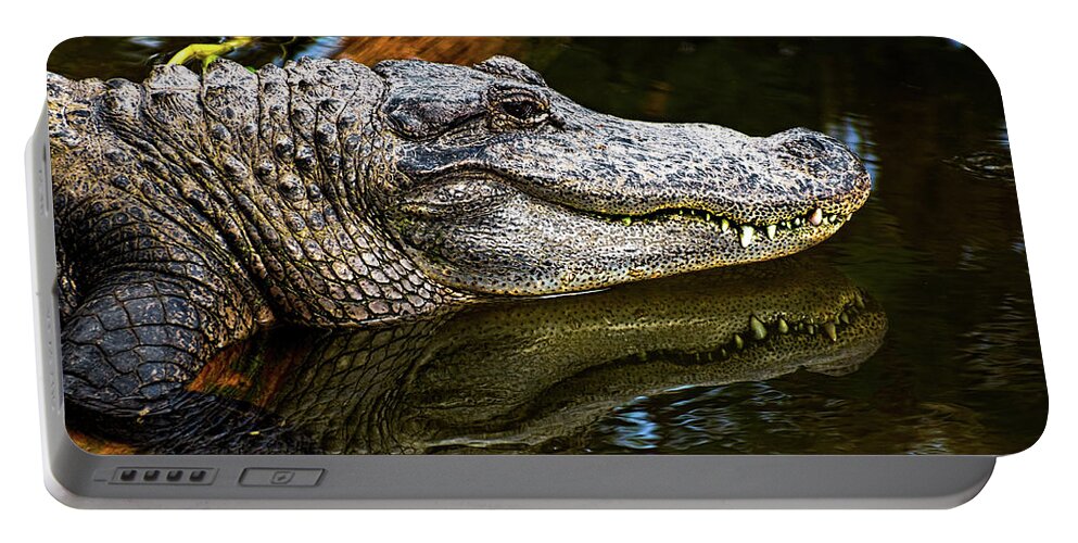 Alligator Portable Battery Charger featuring the photograph Lump On A Log by Christopher Holmes