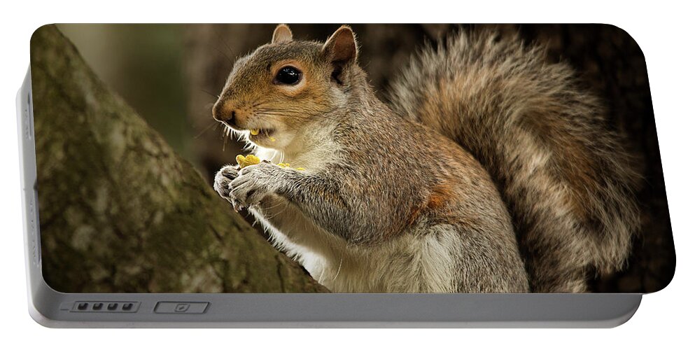 Animal Portable Battery Charger featuring the photograph Lunch by Bob Cournoyer