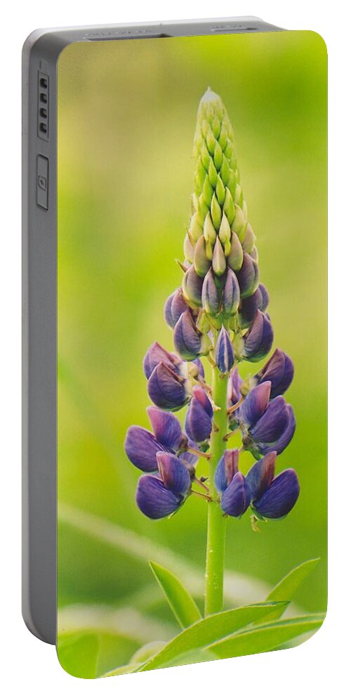 Lupin Portable Battery Charger featuring the photograph Lupin by Juergen Roth