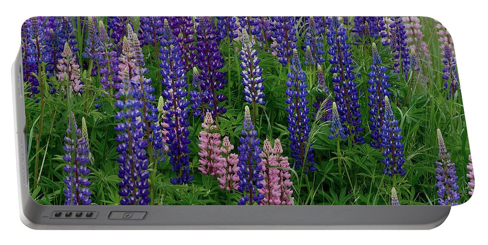 Wildflowers Portable Battery Charger featuring the photograph Lupine Time On North Shore by Hella Buchheim