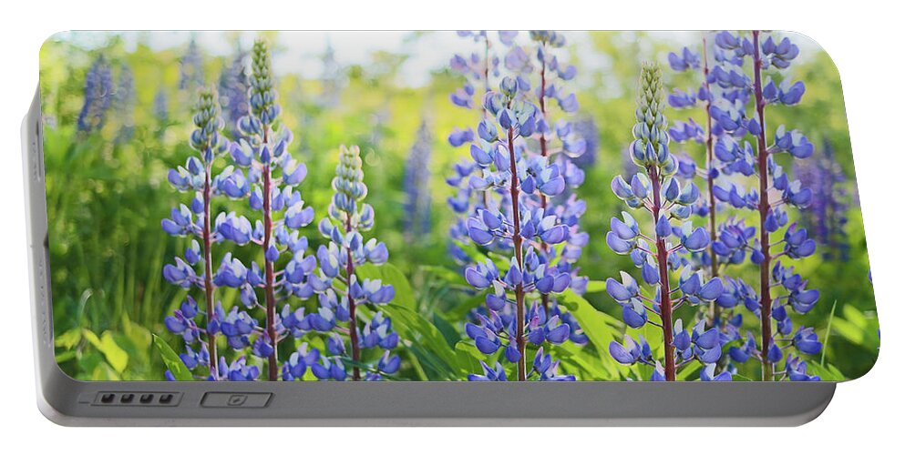Lupines Portable Battery Charger featuring the photograph Lupines by Holly Ross