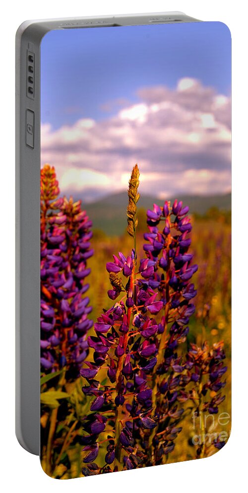 Lupines Portable Battery Charger featuring the photograph Lupines of Sugar Hill NH by Eunice Miller
