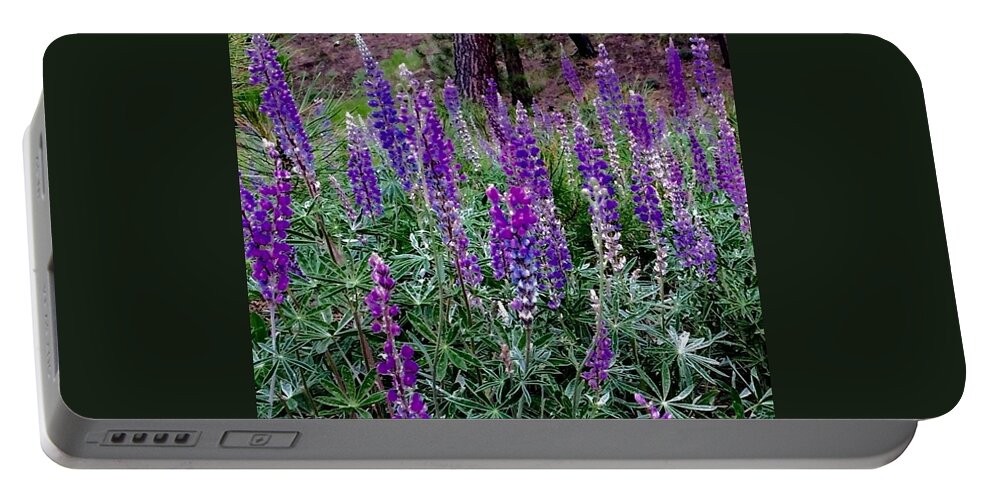 Lupines Portable Battery Charger featuring the painting Lupines Stand Proud by Jennifer Lake