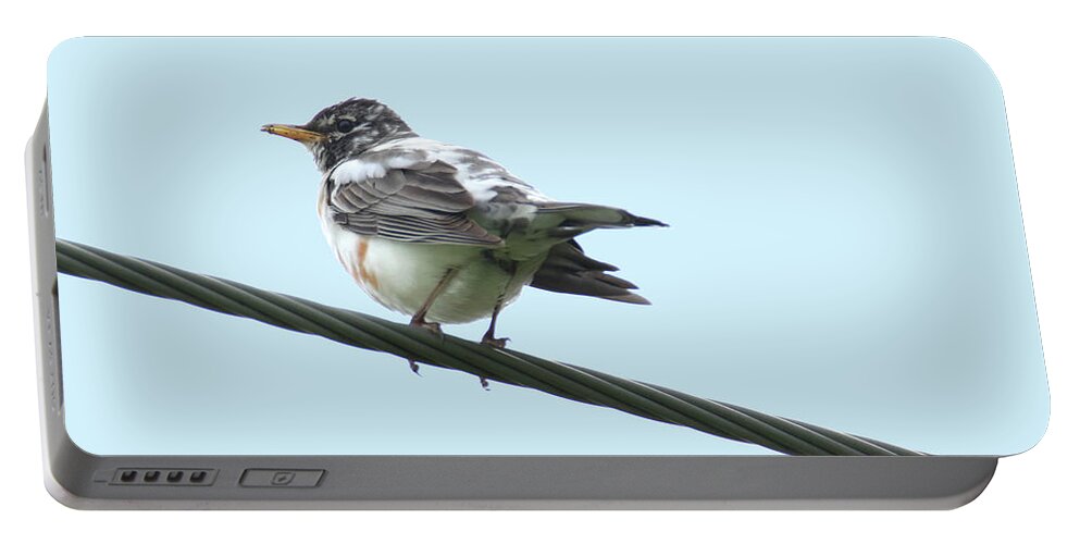 Robin Portable Battery Charger featuring the photograph Lutistic Robin by Brook Burling