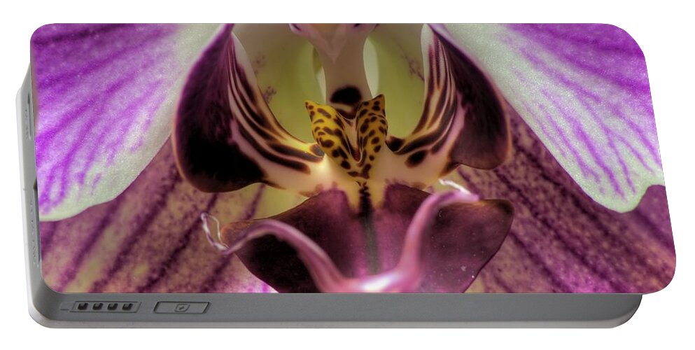 Hdr Portable Battery Charger featuring the photograph Macro Orchid by Brad Granger