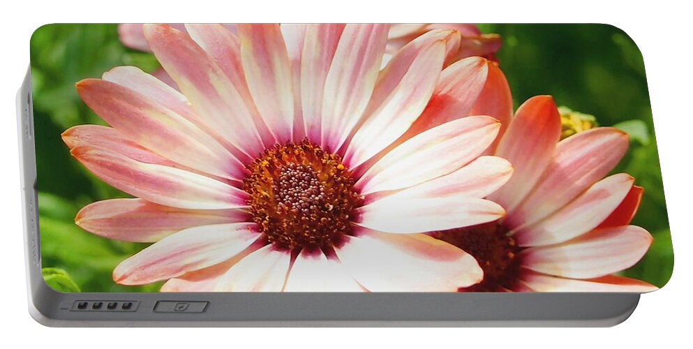 Nature Portable Battery Charger featuring the photograph Macro Pink Cinnamon Tradewind Flower in the Garden by Amy McDaniel