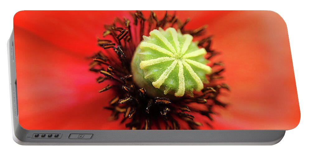 Poppy Portable Battery Charger featuring the photograph Macro poppy by Paulo Goncalves