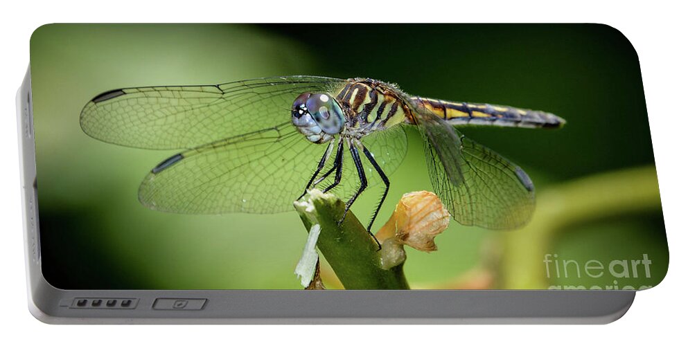 Dragonfly Portable Battery Charger featuring the photograph Magic Dragon by Lisa Kilby