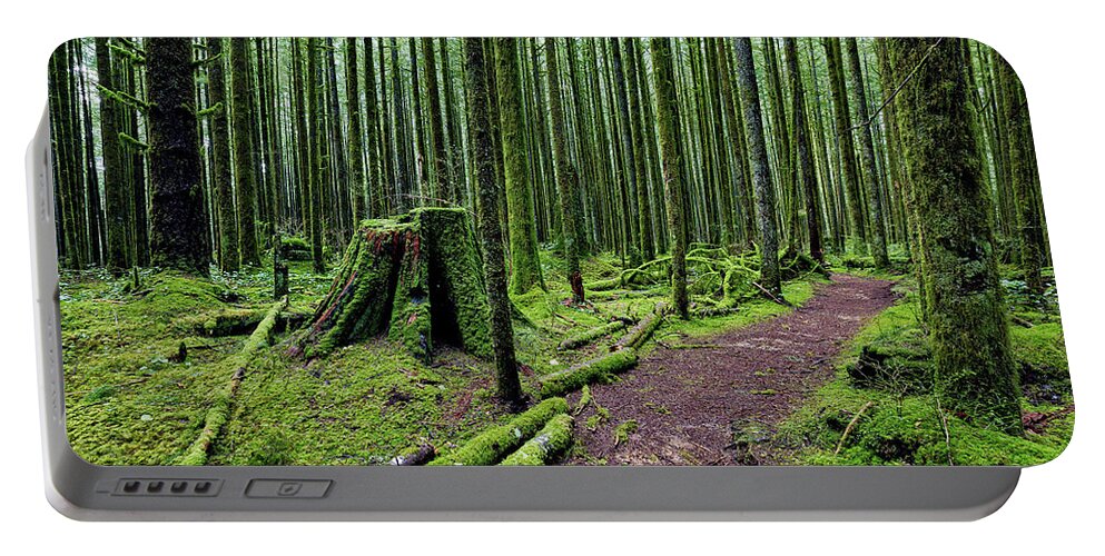 Alex Lyubar Portable Battery Charger featuring the photograph Magic forest by Alex Lyubar